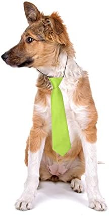 Вратовръзки за по-големи кучета Petunny, 10 бр., Вратовръзка за по-Големи Кучета, Монофонични Вратовръзка за Кучета, Регулируем