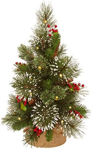 Предварително осветени изкуствена Коледна елха Tree National Company, Зелен, Зимни бор, Бели led светлини, Украсена с борови