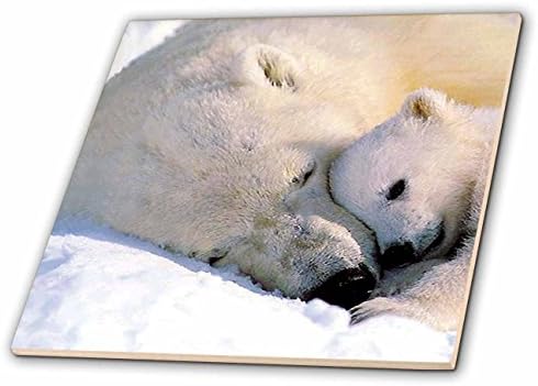 Стъклени плочки 3dRose с бял мечок и бебето, 12 инча (ct_516_8)