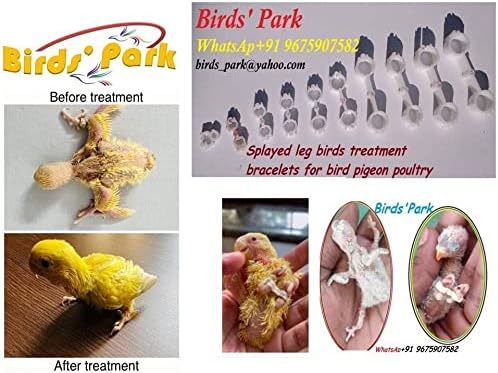 Гривна за лечение на птици с растопыренными крака Birds Park Размер: 3,4,5,6 и 7 мм (10 бр)-Подходящ за малки вълнообразни попугайчиков,