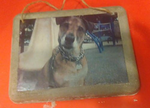 Мемориал на снимка на вашия домашен любимец, напечатанная на бетона, Идеален подарък за собствениците на кучета и любители