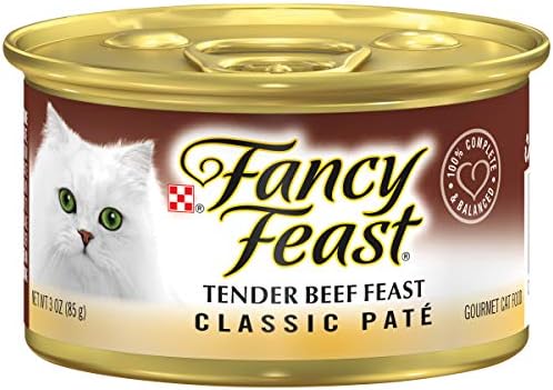 Нежна говеждо FNCY Feast 3 грама (24 опаковка)