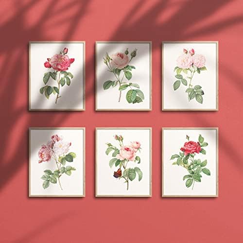 Реколта Червени, Розови, Бели Рози, С Цветни щампи (6) | Съвременно Стенно Изкуство, Викторианската Илюстрация,