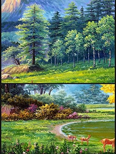 N/D Китайски Пейзаж Рог на Изобилието от Ръчно Рисувани Живопис с маслени бои Възпроизвеждане на картини с маслени Бои