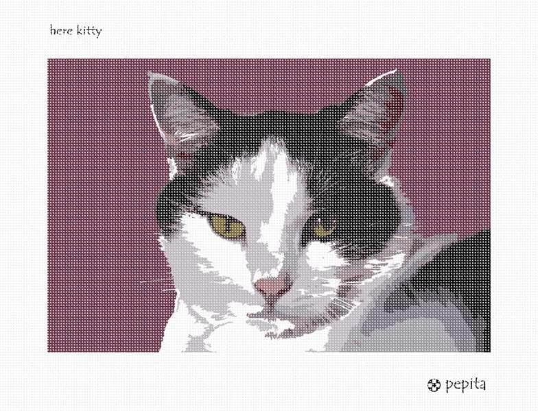 комплект за бродиране pepita: Ето Коте, 14 x 9