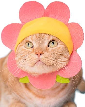 Шапка за котки Kitan Club - Сляпо кутия за шапки за домашни любимци включва: 1 от 5 сладки стилове - Мека, удобна