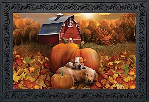 Брайарвуд Лейн, Добре дошли, есенни кученца, изтривалка за врата, тиква навес, отвътре и отвън, 30 x 18