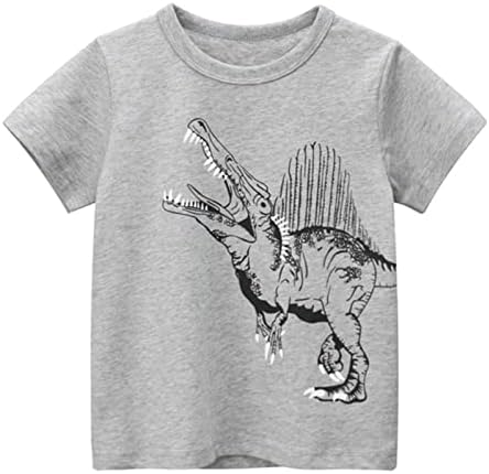 Boy Performance Къси Тениски За Деца, За по-малките Момчета и Момичета, С Динозавром, С къс ръкав и кръгло деколте,