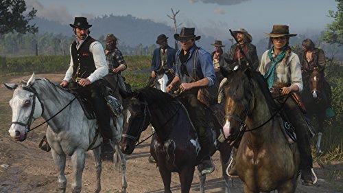 Red Dead Redemption 2, за Playstation 4