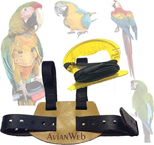 Шлейка за птици Avianweb EZ с 6-футовым каишка (Обикновени папагали ара (например синьо със злато))