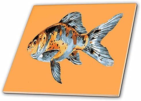 3. Синьо и оранжево златната рибка Шубункин на фона на оранжево - теракот (ct_347056_1)