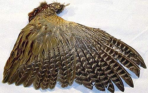 Страшно Истински Естествени орлиные пера 16-18 см (20-40 см), Качественото Перо Орлиной птици за Сватба бижута, бижута Направи