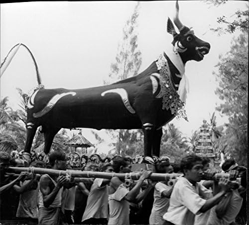 Реколта снимка мъже, носещи на раменете си голям идол-бик по време на парад в Бали, Индонезия.- Януари 1963 г.
