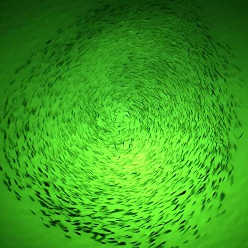 Edearkar 8-Pack Подводен Светло Зелен Цвят 4,73 инча Дълбока Капка Led Водоустойчива Лампа Мига Риболовен
