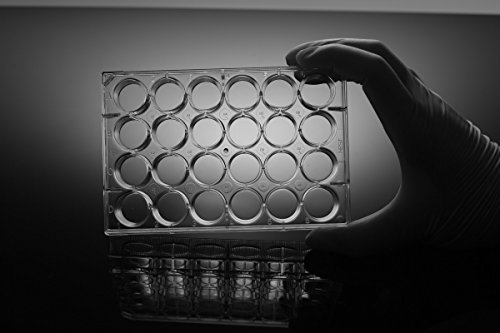 Nest Scientific 702001 Полистироловый 24-луночный таблетка за култивиране на клетки, Плоско дъно, Изработени култура