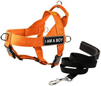 Универсална Шлейка за кучета Dean & Tyler DT с ивици Аз съм момче и каишка за кученца, Оранжева, X-Large