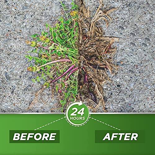 Книга от плевели и трева с 20% оцет Green Gobbler | Натурален и Органичен | 4 Литра | Хербицид, без глифозат