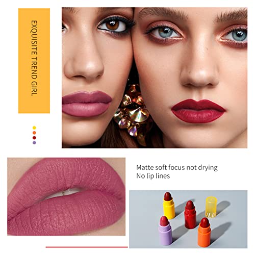 Мини-Блестящо червило AKARY Етикети Matte Lipstick, кутия от 4 цветове, Сладък Хидратиращ Набор от червила,
