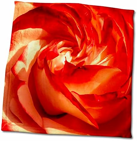3D Роза Uta Naumann Photography на Цветя - Роза за Деня на Свети Валентин в ярко-червени кърпи (twl-253383-3)