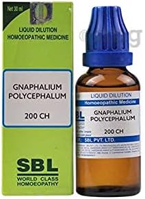 SBL Gnaphalium Polycephalum Отглеждане на 200 чаена лъжичка.