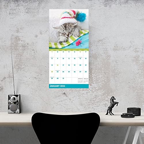 TF PUBLISHING Happy Опашките: Котка + Котенцата Празнуват сезони 2023 Стенен Календар За 12 месеца Голям Стенен
