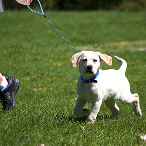 Здрава каишка за кучета Mi Metty със защита от дъвчене - Шестифутовый Метален Кабелен каишка. Сверхпрочный каишка От