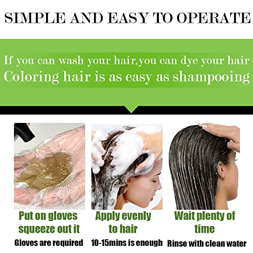 ALINICE Hair Color Шампоан за сива коса – Обогатен Шампоан за оцветяване Формула на Боята за Коса – Шампоан
