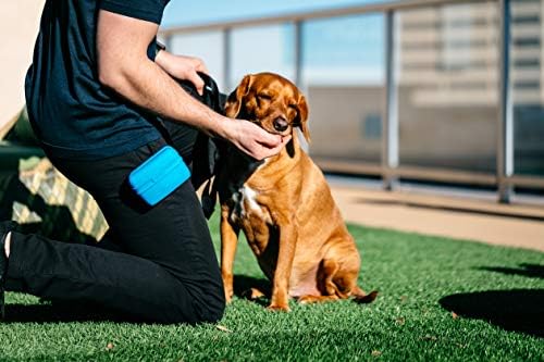 Торбичка за кучета Dexas Pets Pooch, Гъвкаво Деликатес За Кучета/Скоба За Тренировъчен Екстри, Pro Blue
