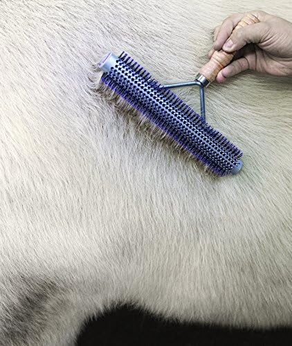 Четка за домашния добитък от Текстилна кожата Широк Асортимент,69-6013, Сребристо-Лилаво