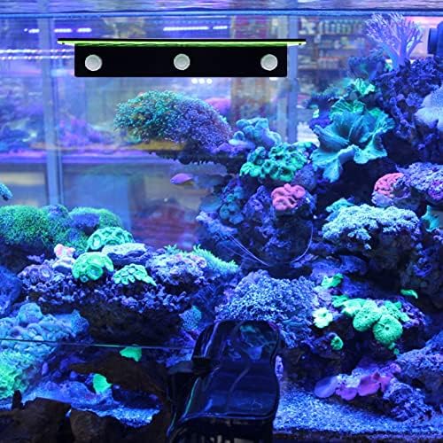 Аксесоари за бижута Ipetboom Титуляр за аквариум с Счупено Корали: Аквариум Акрилен Прозрачен Зареждане с Извити Корал СЕП