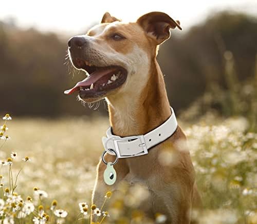 Регулируем нашийник за кучета с притежателя на Airtag: Трайни нашийници за кучета, ремъци с меко гумено покритие,