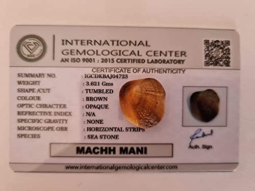 Сертифициран лабораторията за морски камък Джйотиш Даршан Ма Мани | Намалява и премахва влиянието на Rahu | Кафяв