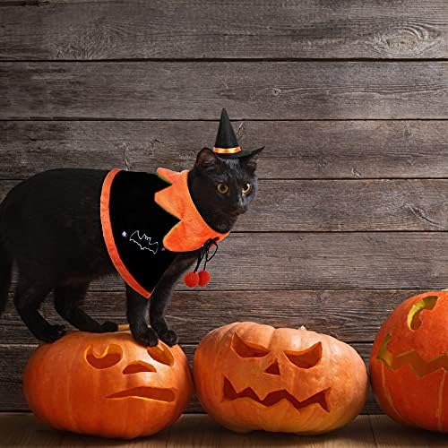 Хелоуин Пат двустранно комплект костюм влиза куче котка дъждобран тиква костюм на Прилеп, котка дъждобран, куче обръщане
