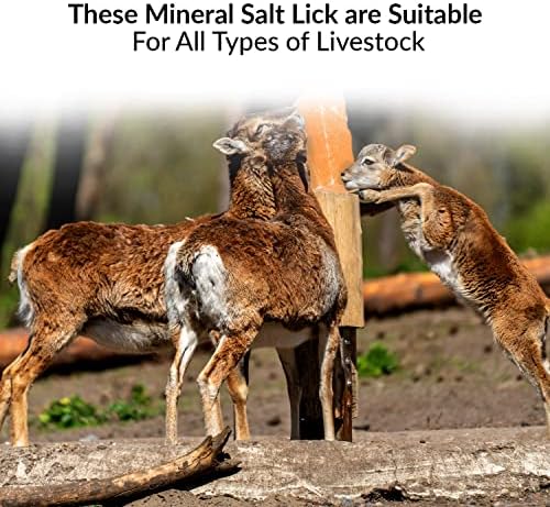 Himalayan Nature натурален хималайска сол блок Планински елен - Блок минерална сол Животно ближе, от 2 до 5 кг, опаковката може да се различават.