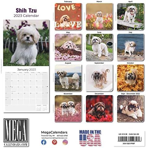 Календар Shih дзъ 2022 2023 година - Месечен Стенен календар породи кучета - 12 x 24 в прав текст - Плътна хартия,