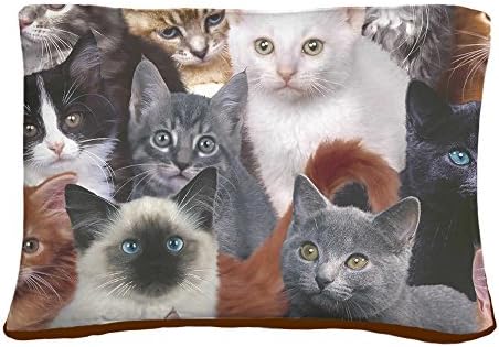 Ярка Риза за котки на няколко дни, Легла за домашни любимци, Плюшено мек вълнен плат Отгоре, с цип и вложка (40 х 50)