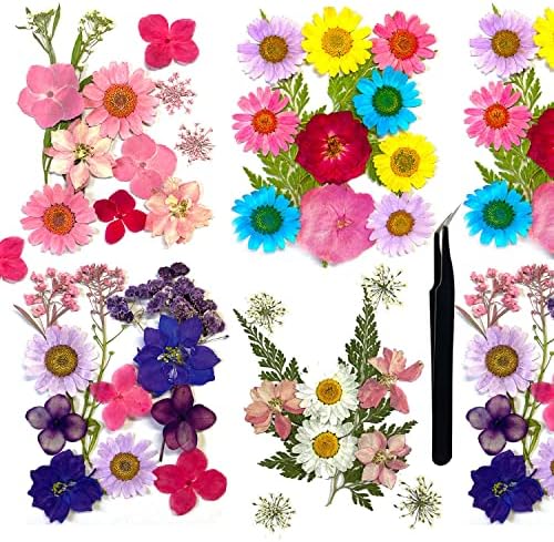 Пресовани Цветя Цветя от смола на форми от смола, Истинска Маргаритка Сушени Цветни Листа Натурални с Пинсети за Scrapbooking