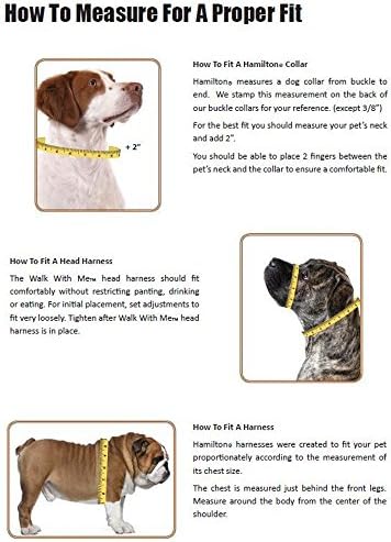 Хамилтън B Chea MDBY 3/8-Инчов Регулируема Шлейка за кученца Figure 8 с Пръстен от Матирана Обков и брелоком, Средна, Ягодно-синя