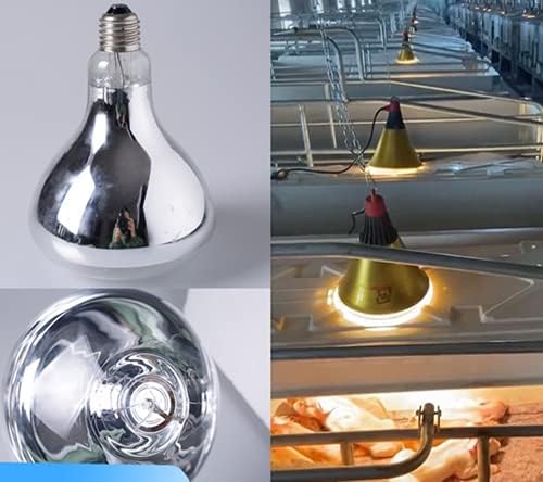 Qixivcom 2 275 W Топлинна Лампа Инфрачервени Нагревателни Лампи, Стъклени Топлинна Лампа E26 Водоустойчив Взривозащитени Сгъстено Прожекторные Лампа за Влечуги Прасе, Пи?