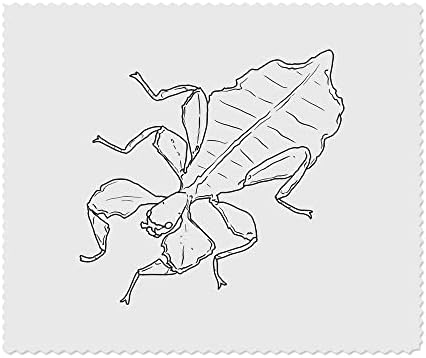 Azeeda 2 x Кърпички за почистване на лещи и очила от микрофибър Leaf Bug (LC00019481)