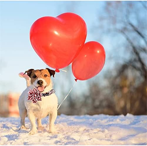 Нашийник за кучета HFDGDFK Valentine Red Heart с Флорални Регулируем Ошейником за кучета Голям Среден размер (Цвят: B размер: X-Small)