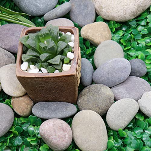Цветни камъни с диаметър 1-2 инча, 10 кг от естествена нешлифованной каменна Камъчета за растения, Градини,