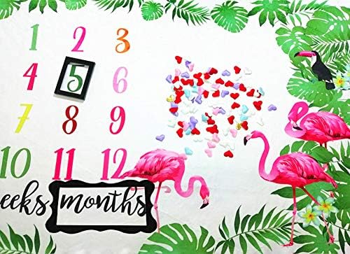 Одеало illikkuyax Baby Monthly Milestone, 40 × 60 См, Одеало Milestone за новороденото през Първата година от Живота с Розови