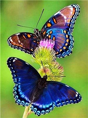 Диамантена Живопис Пеперуда на Цвете Диамантена Бродерия на кръстат бод Планински Кристал, Мозайка Изкуството