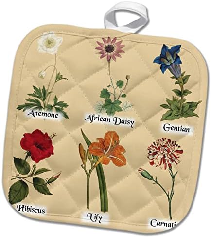 3dRose Реколта Ботанически цветя - Антикварни Цветя - Красивите Цветни Изделия - кухненски ръкавици (phl-364635-1)