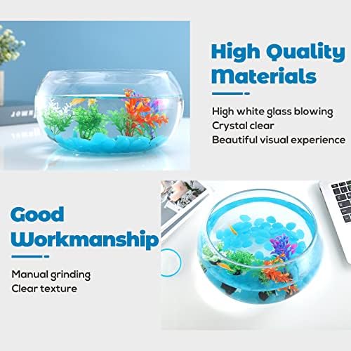 Стъклена Купа за рибки LAQUAL обем 1 Галон с Интериор, Включващ Флуоресцентни камъни и Разноцветни Пластмасови