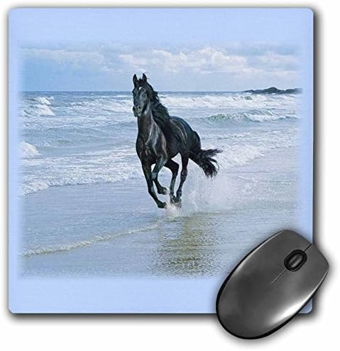 Подложка за мишка 3dRose LLC 8 x 8 x 0,25 инча, Черни конни надбягвания на Оушън Бийч (mp_38919_1)