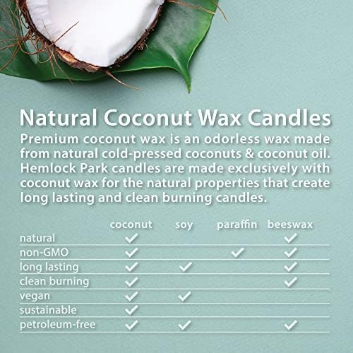 Класически памучен Фитильная свещ Hemlock Park Ръчна изработка с естествени кокосови восък и Етерични масла (Эвкалиптово-ментовото,