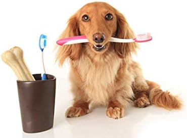 Лакомства за почистване на зъбите на кучета малки породи - Грижа за здрави зъби на кучета - Комплекс за венците и зъбите - Предотвратява образуването на плака - Хапче