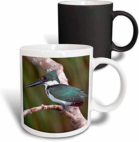 3дРоза, Бразилия, в пантанал, Зелена птица Зимородок-SA04 BJA0011-Керамична чаша Jaynes Gallery, 11 грама, бяла
